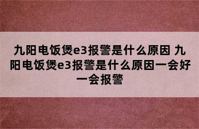 九阳电饭煲e3报警是什么原因 九阳电饭煲e3报警是什么原因一会好一会报警